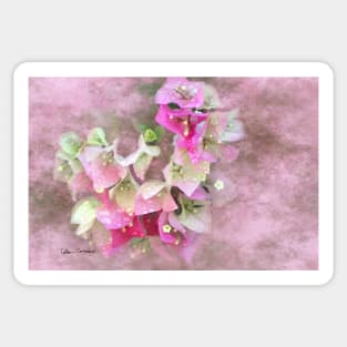 Pink Bougainvillea Flowers Digital Art Sticker